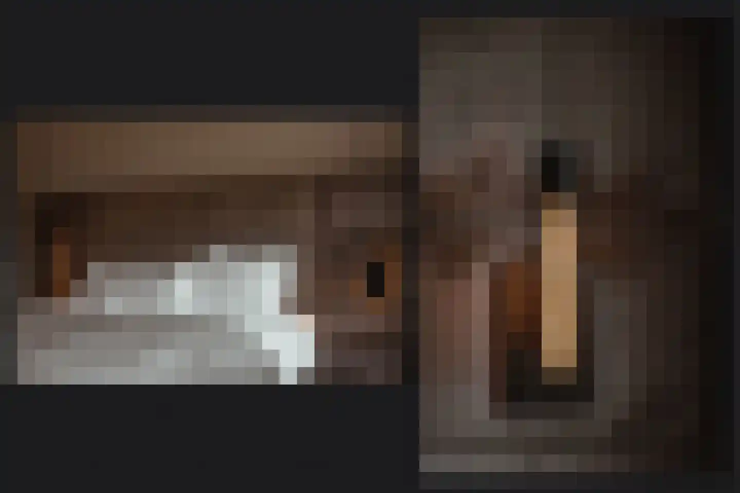 Populierenlaan 29 Velddriel thumbnail 33