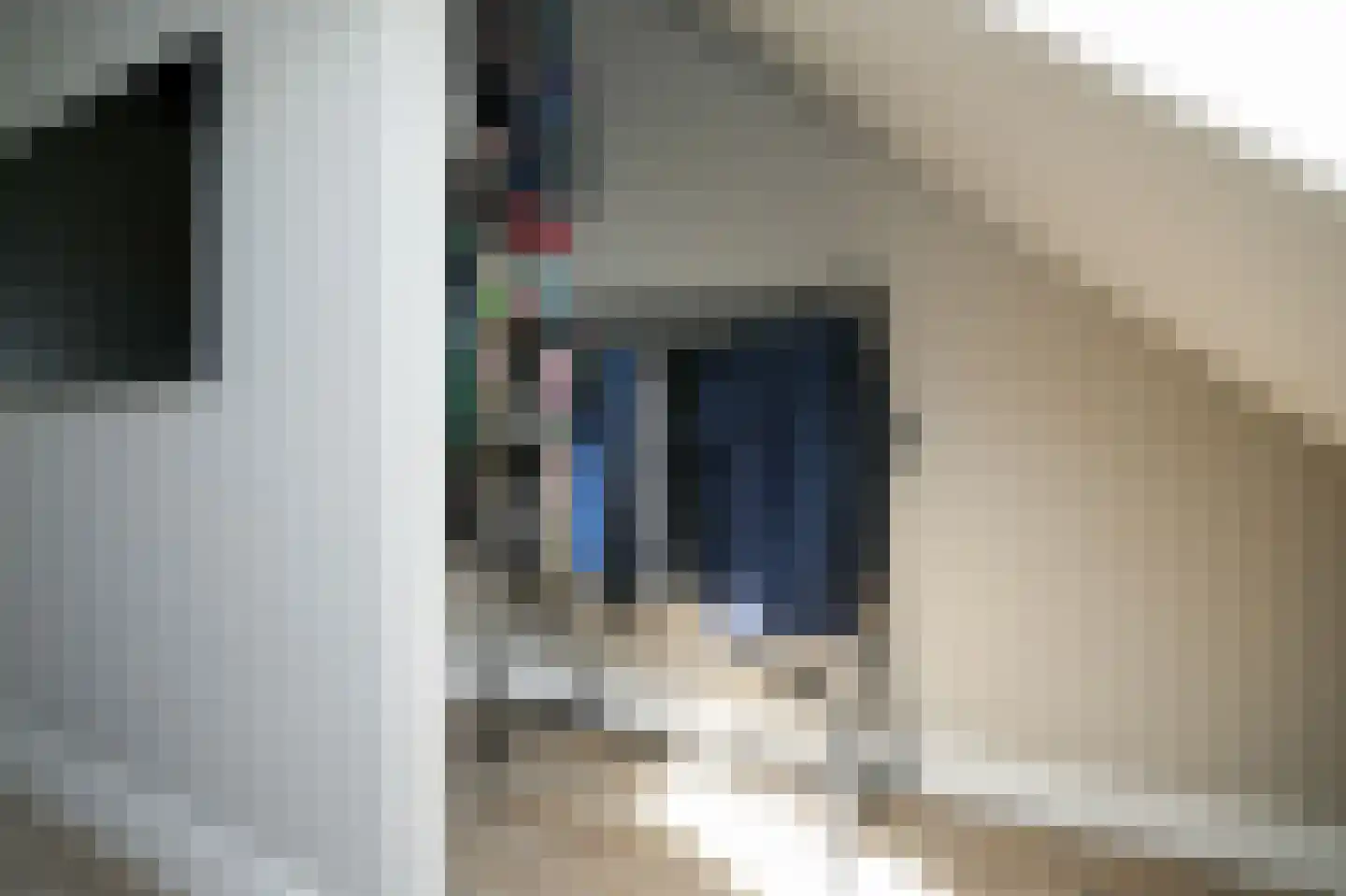 Populierenlaan 29 Velddriel thumbnail 45