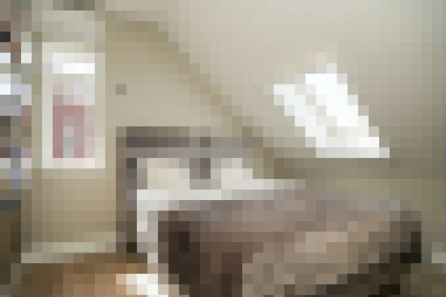 Populierenlaan 29 Velddriel thumbnail 47