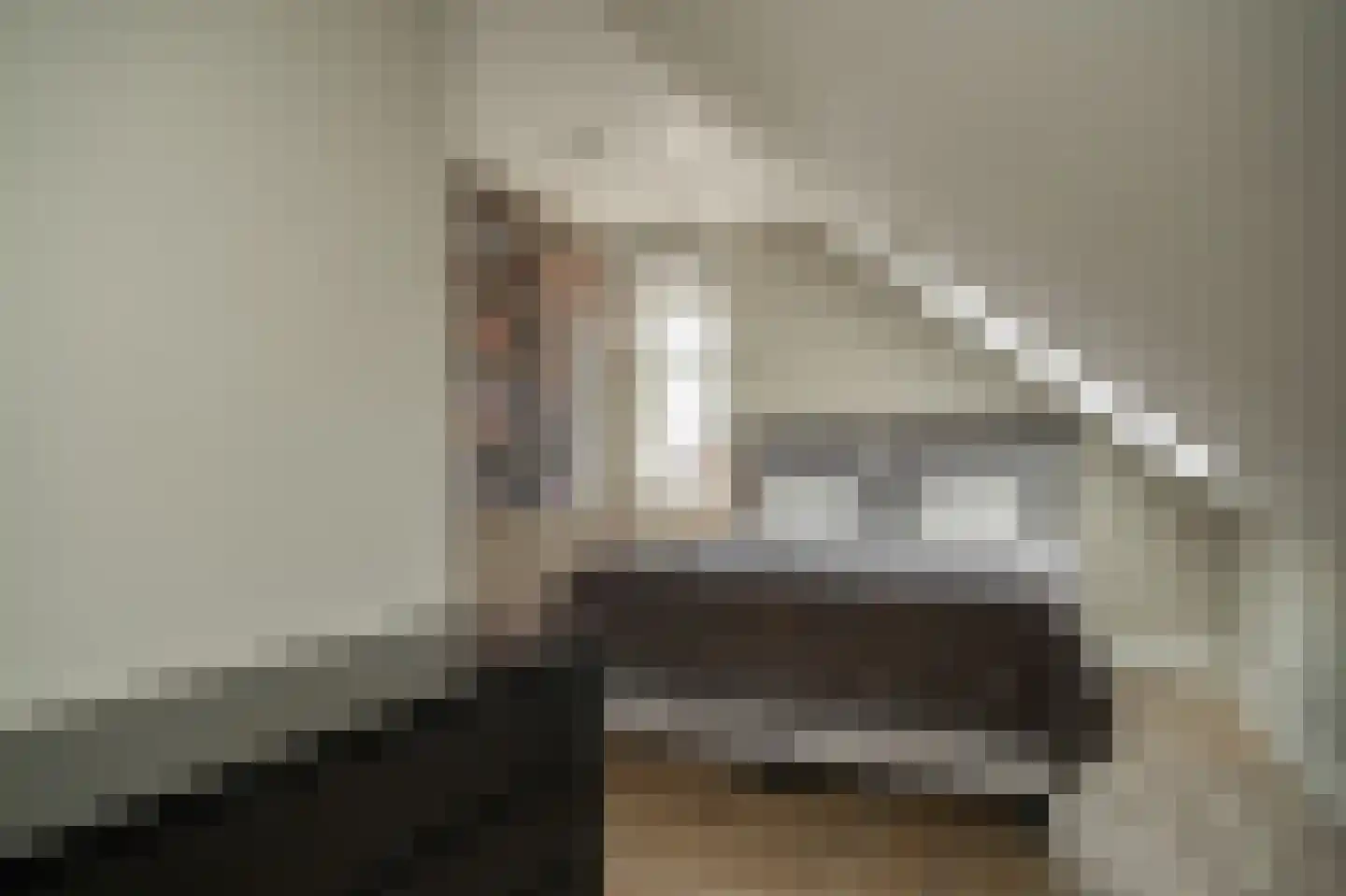 Populierenlaan 29 Velddriel thumbnail 48