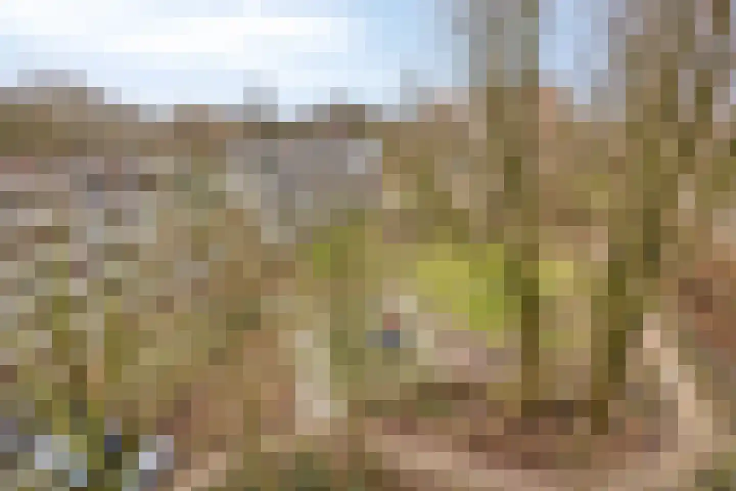 Populierenlaan 293 Amstelveen thumbnail 18