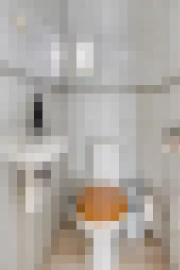 Populierenlaan 30 Krimpen aan den IJssel thumbnail 16