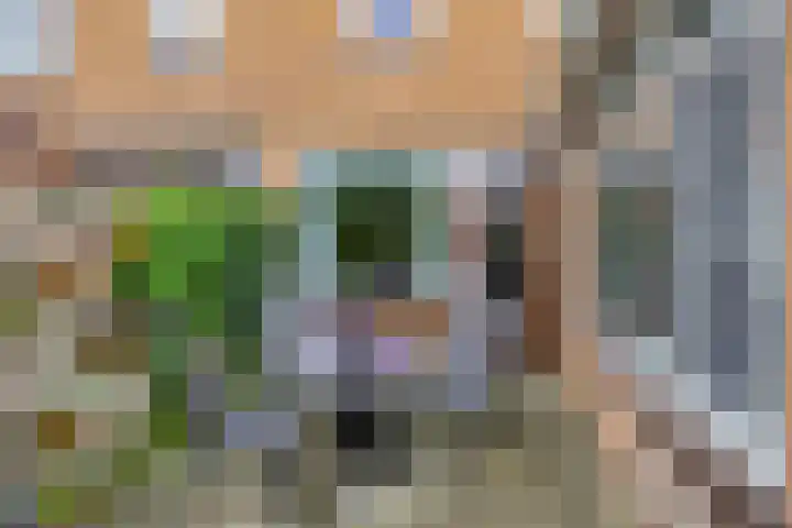 Populierenlaan 30 Krimpen aan den IJssel thumbnail 28