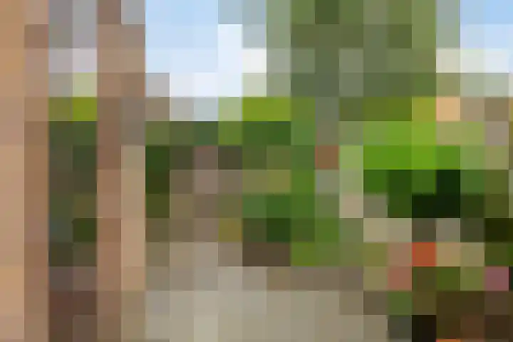 Populierenlaan 30 Krimpen aan den IJssel thumbnail 29