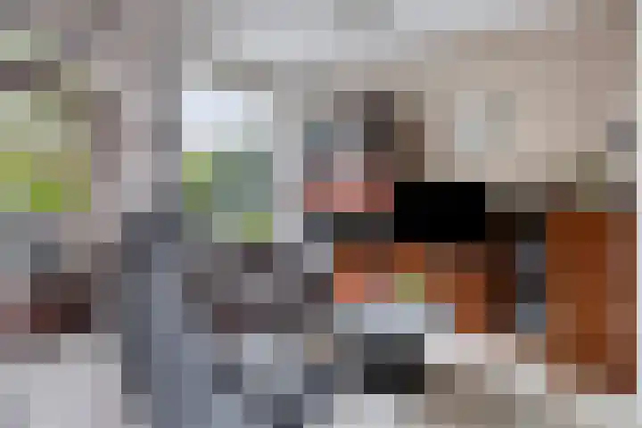 Populierenlaan 30 Krimpen aan den IJssel thumbnail 8