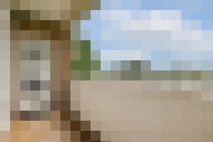 Populierenlaan 303 Amstelveen thumbnail 10