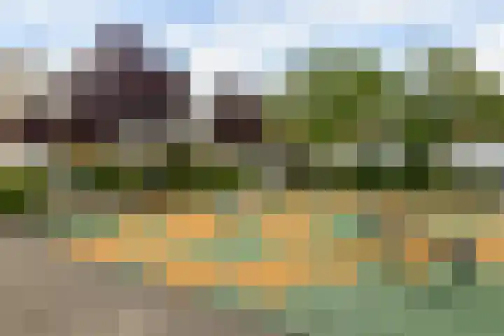 Populierenlaan 303 Amstelveen thumbnail 19