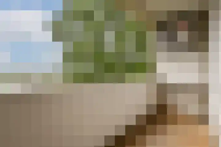 Populierenlaan 303 Amstelveen thumbnail 9