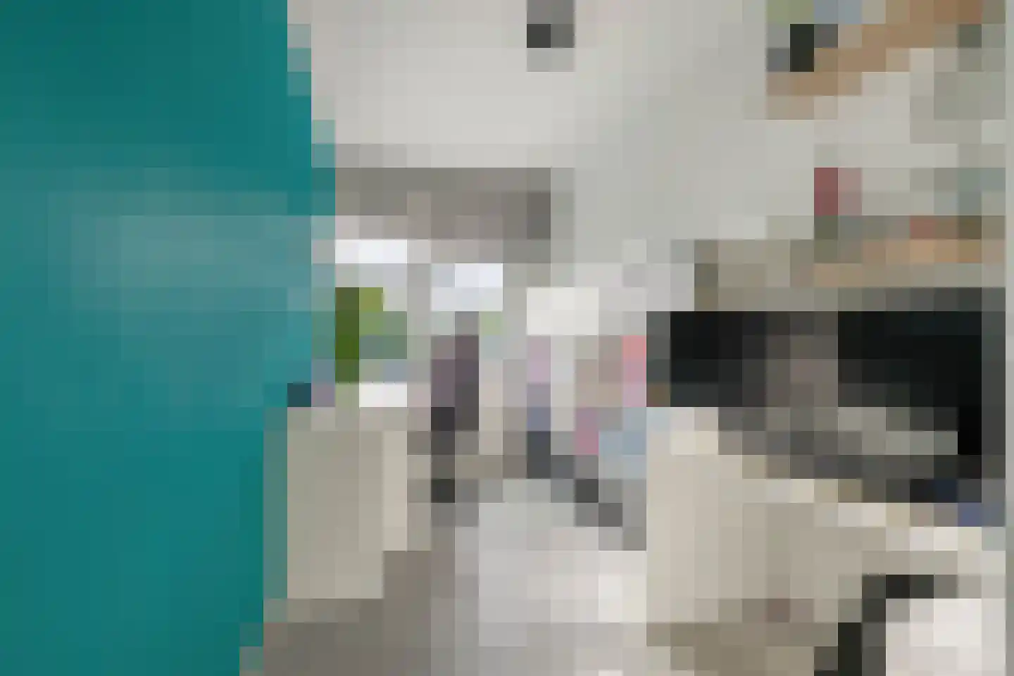 Populierenlaan 307 Zwanenburg thumbnail 10