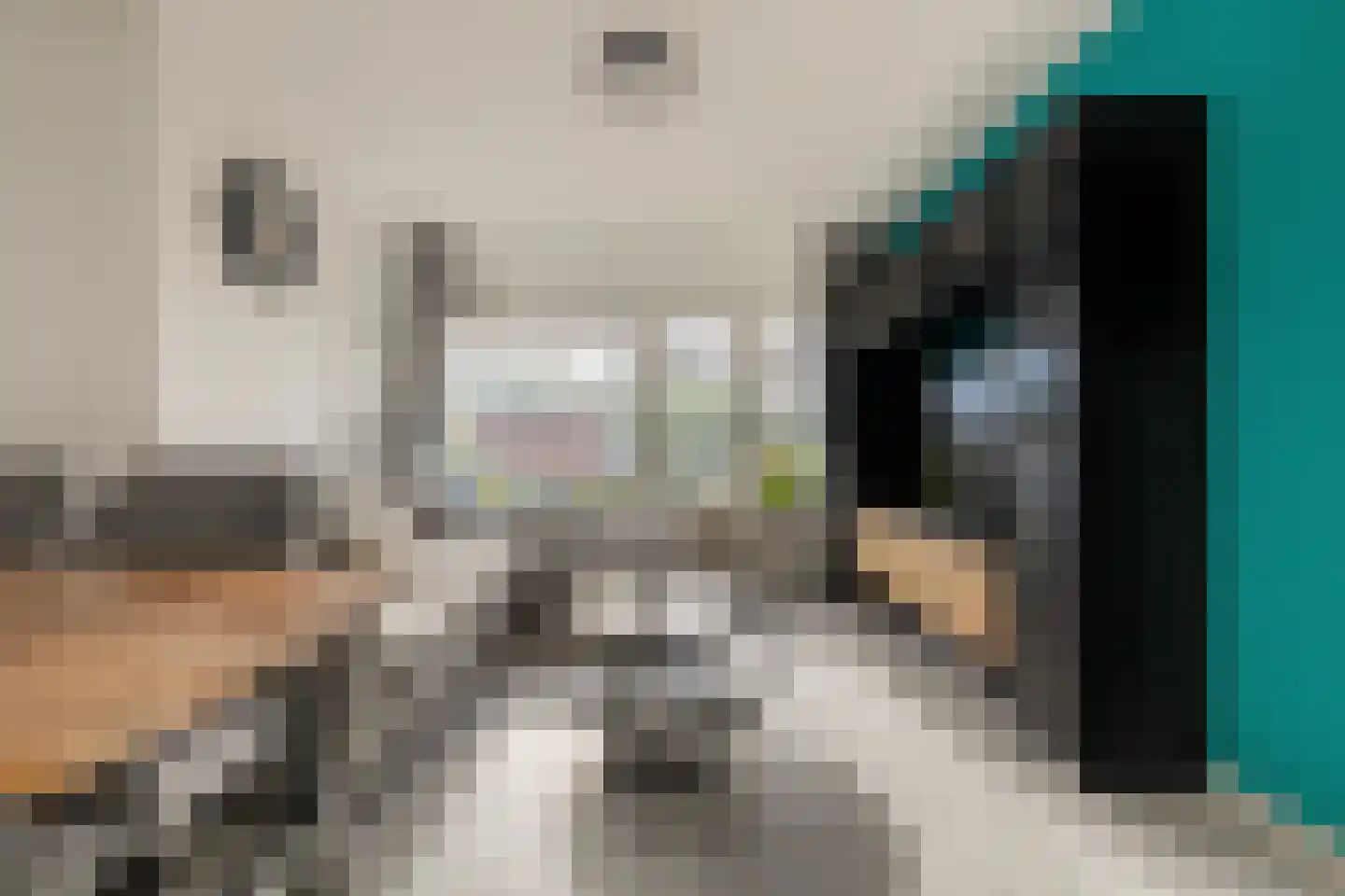 Populierenlaan 307 Zwanenburg thumbnail 19