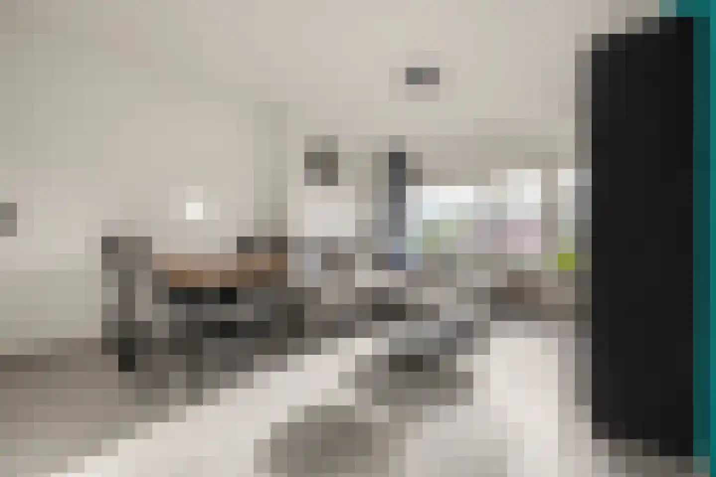Populierenlaan 307 Zwanenburg thumbnail 4