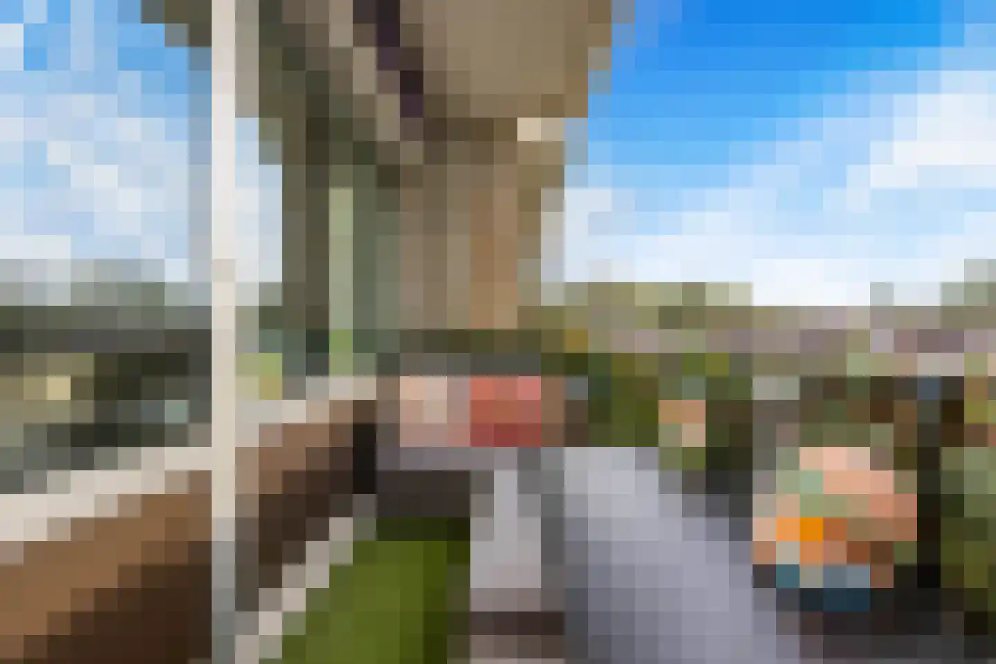 Populierenlaan 307 Zwanenburg thumbnail 6