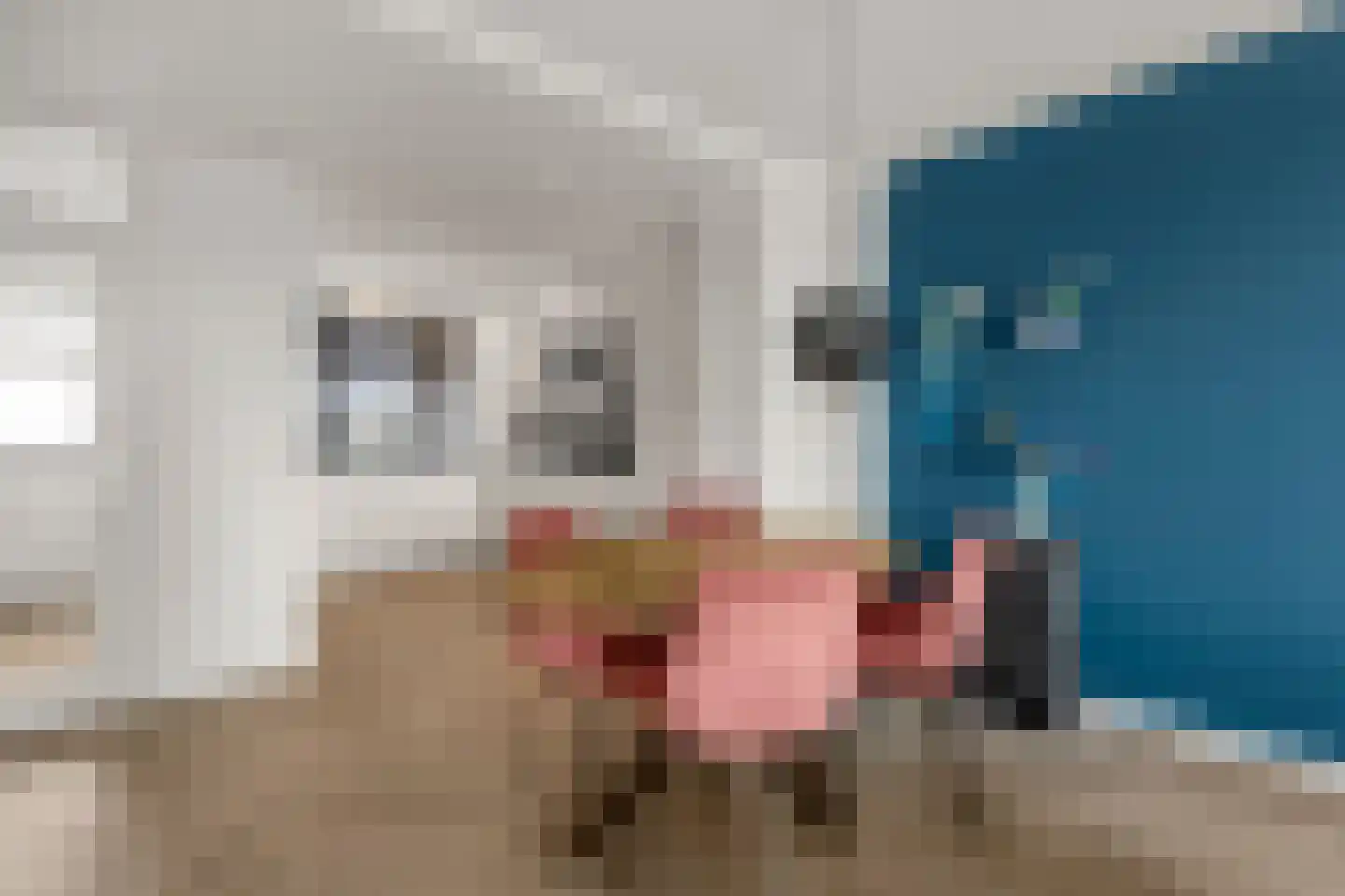 Populierenlaan 309 Amstelveen thumbnail 5