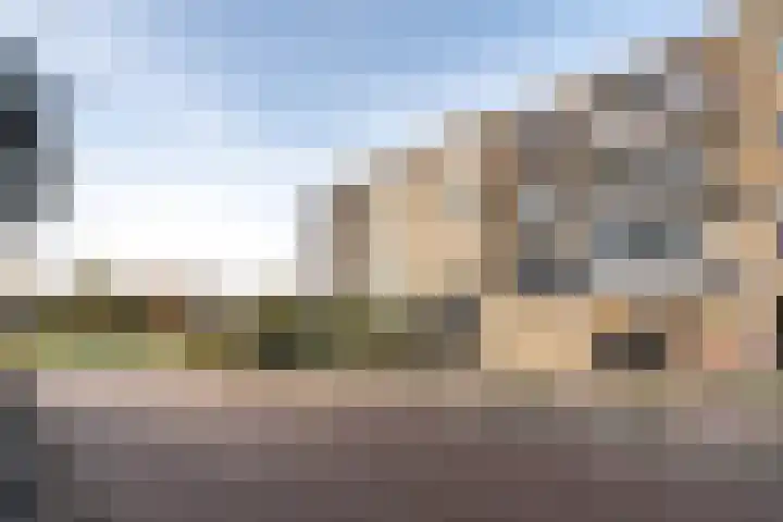Populierenlaan 319 Zwanenburg thumbnail 22