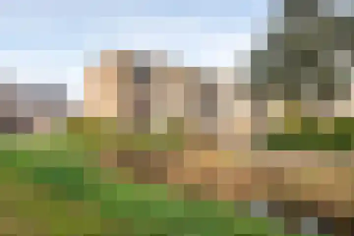 Populierenlaan 319 Zwanenburg thumbnail 24