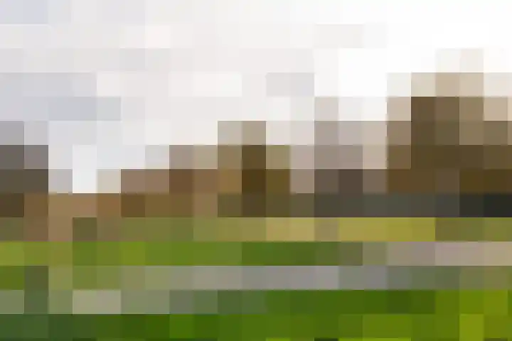 Populierenlaan 319 Zwanenburg thumbnail 25