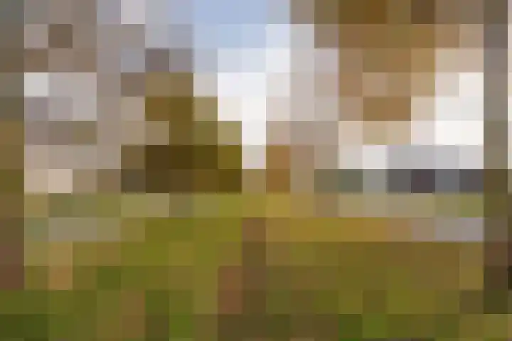 Populierenlaan 319 Zwanenburg thumbnail 26