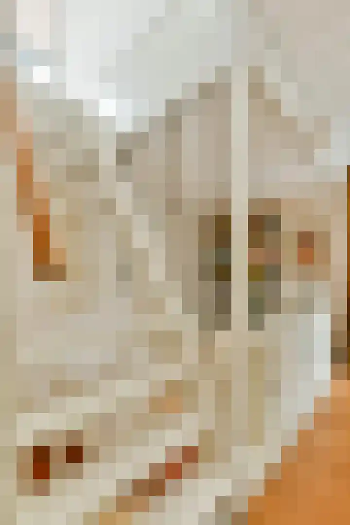Populierenlaan 32 Amstelveen thumbnail 33