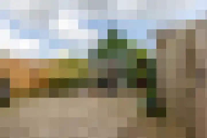 Populierenlaan 37 Zwanenburg thumbnail 19