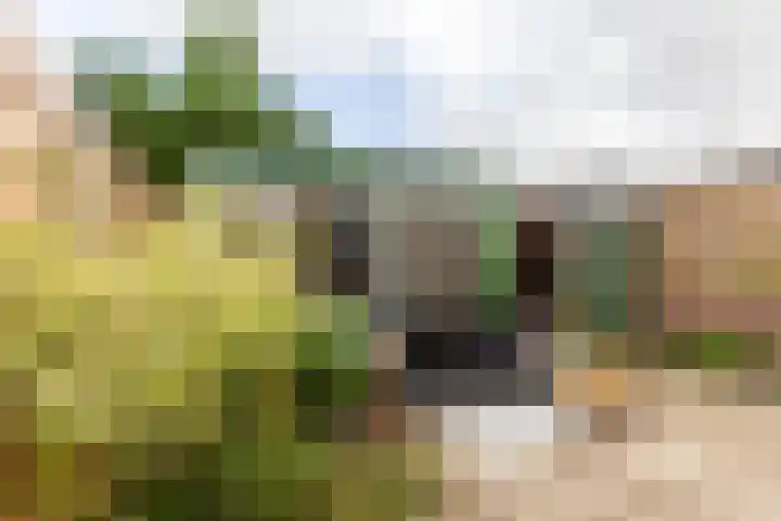 Populierenlaan 37 Zwanenburg thumbnail 20
