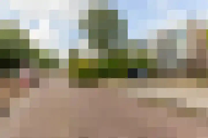 Populierenlaan 37 Zwanenburg thumbnail 23