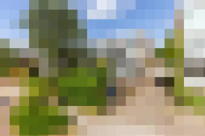 Populierenlaan 37 Zwanenburg thumbnail 24