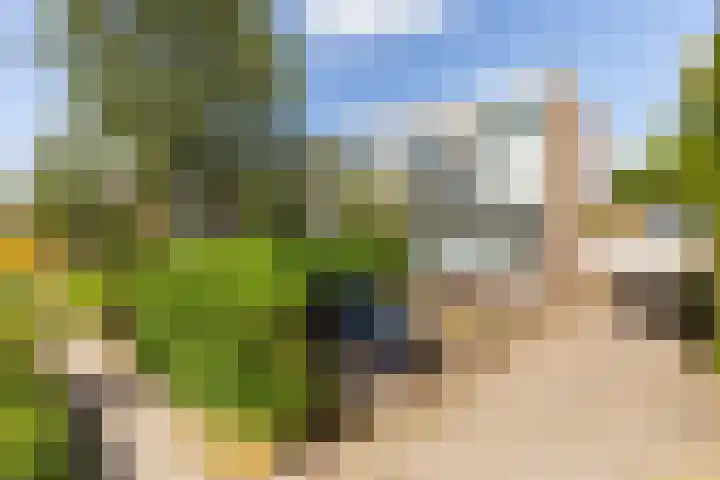 Populierenlaan 37 Zwanenburg thumbnail 25