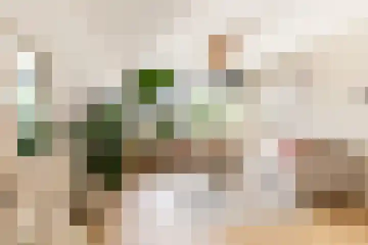 Populierenlaan 37 Zwanenburg thumbnail 4