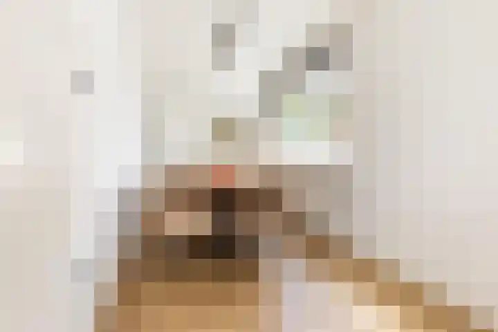 Populierenlaan 37 Zwanenburg thumbnail 5