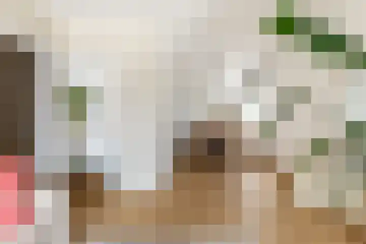 Populierenlaan 37 Zwanenburg thumbnail 6