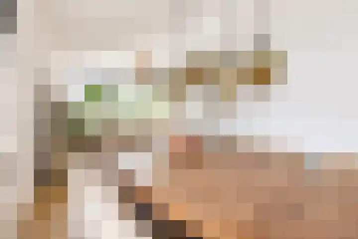 Populierenlaan 37 Zwanenburg thumbnail 8