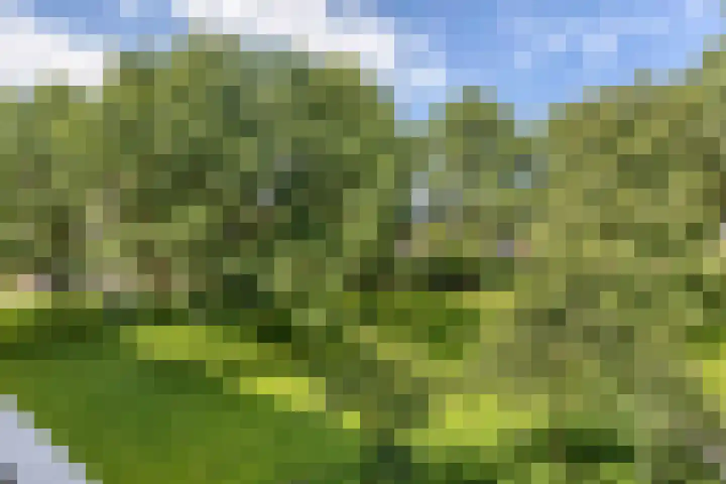 Populierenlaan 385 Amstelveen thumbnail 22