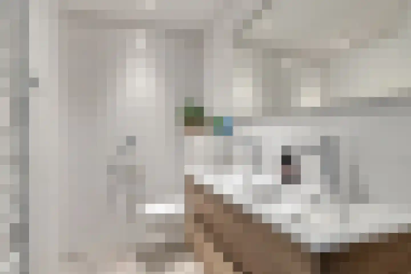 Populierenlaan 39 c Uitgeest thumbnail 13