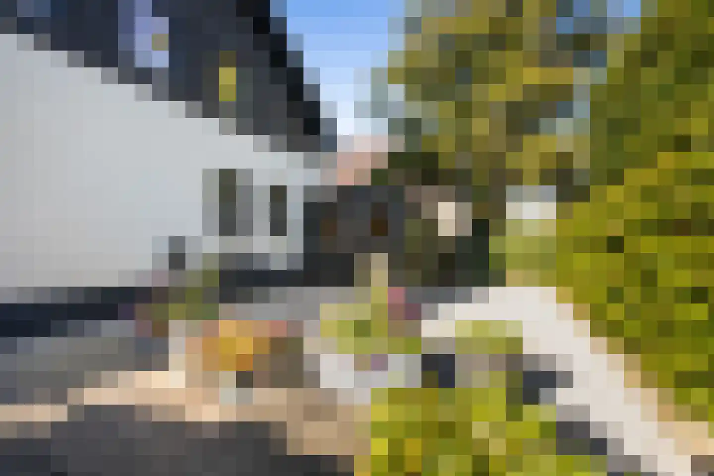Populierenlaan 39 c Uitgeest thumbnail 15