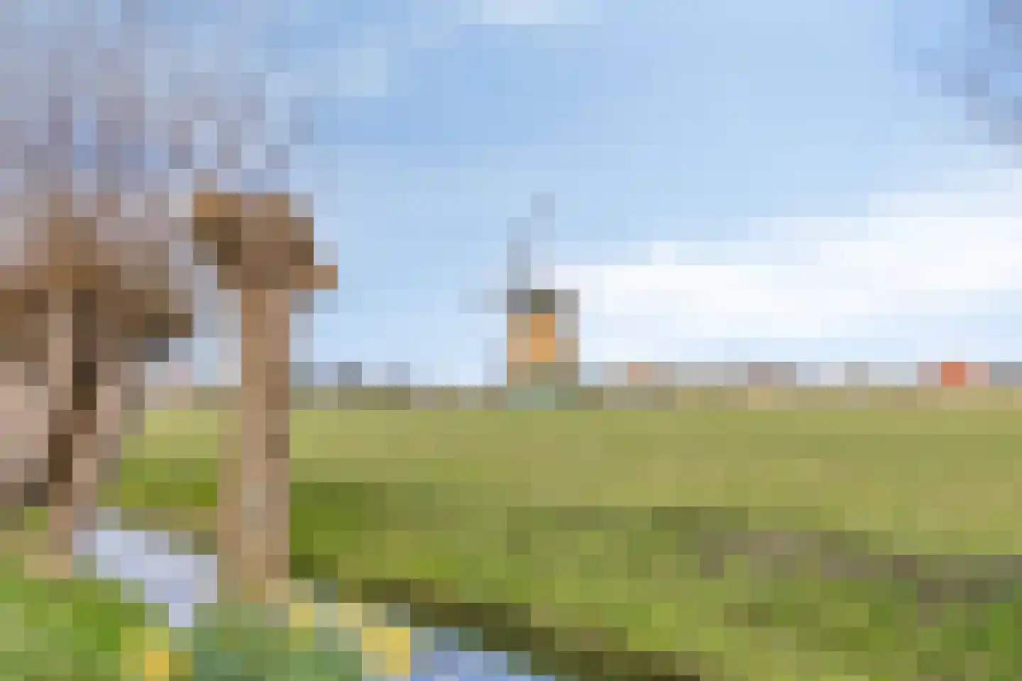 Populierenlaan 39 c Uitgeest thumbnail 26
