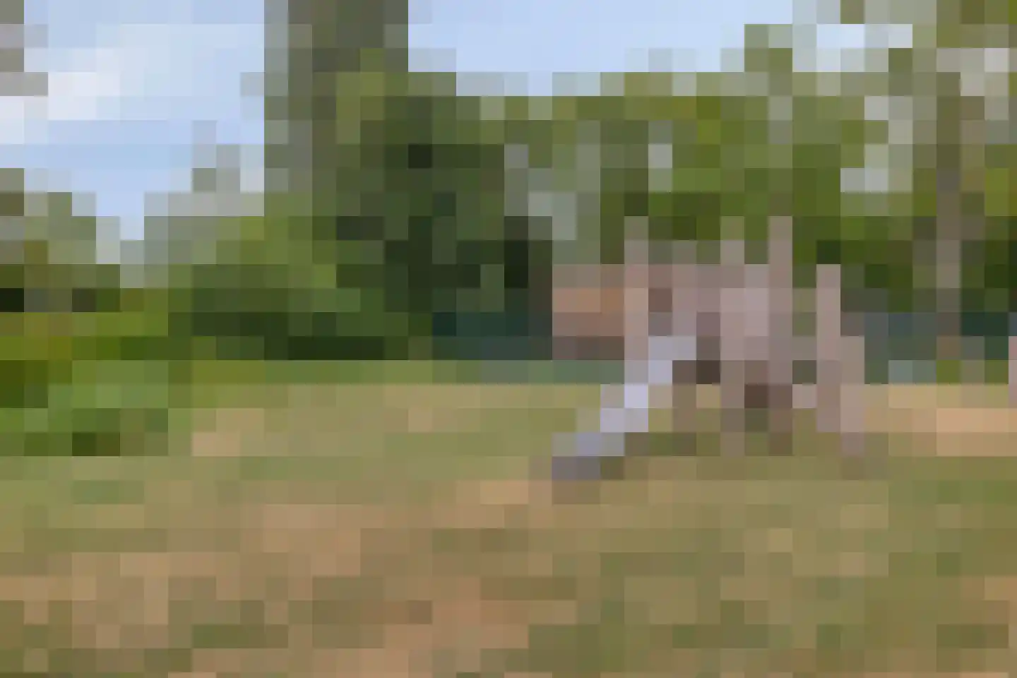 Populierenlaan 39 Hillegom thumbnail 30