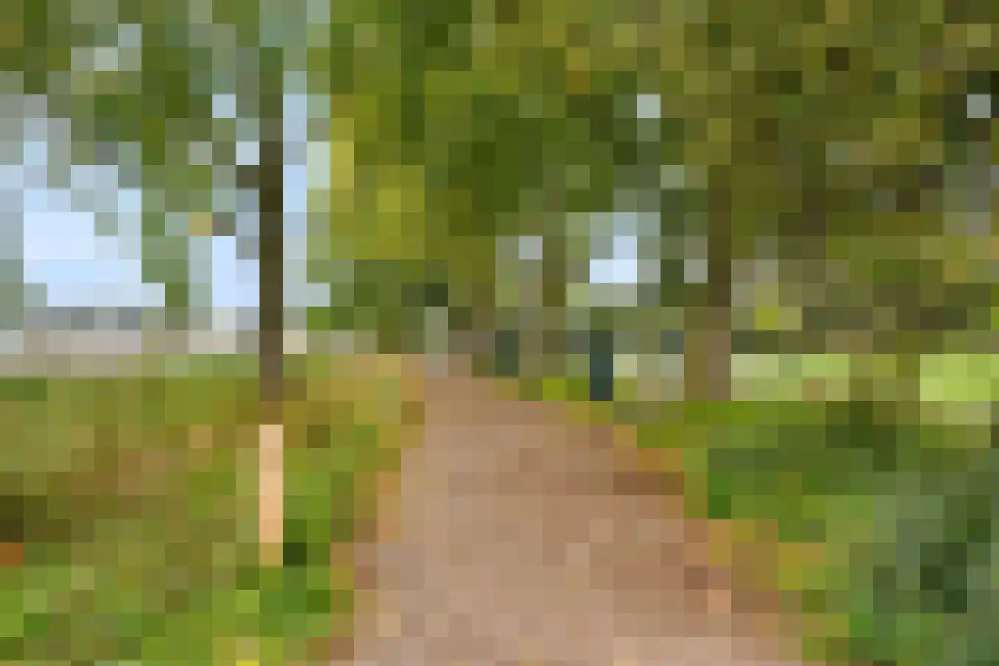 Populierenlaan 399 Amstelveen thumbnail 30