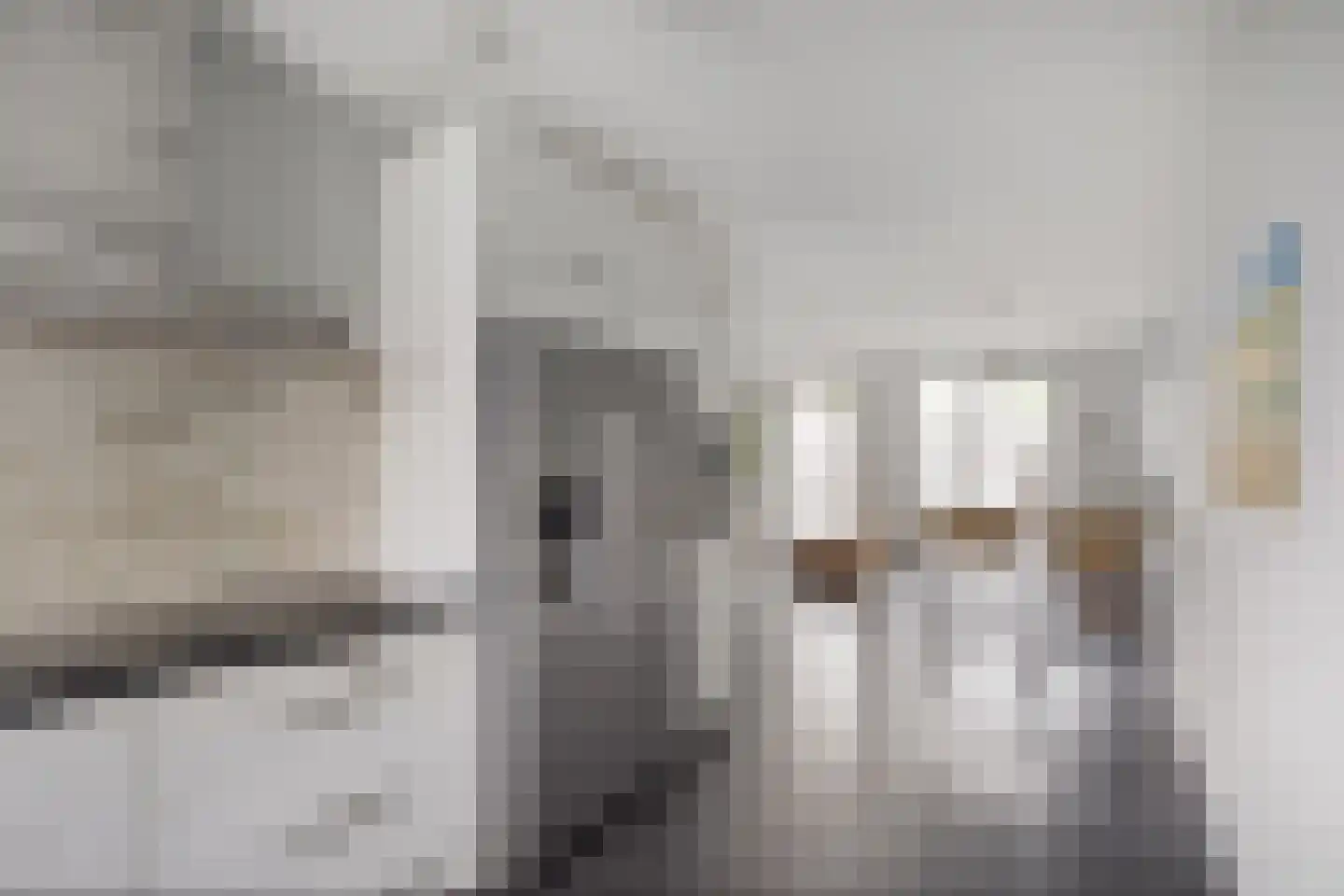 Populierenlaan 4 Zwanenburg thumbnail 12