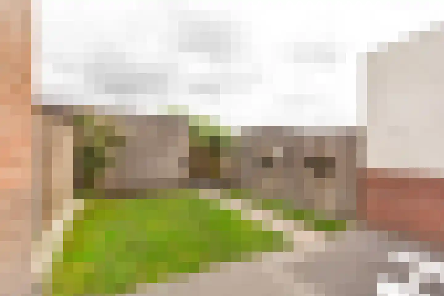 Populierenlaan 4 Zwanenburg thumbnail 14