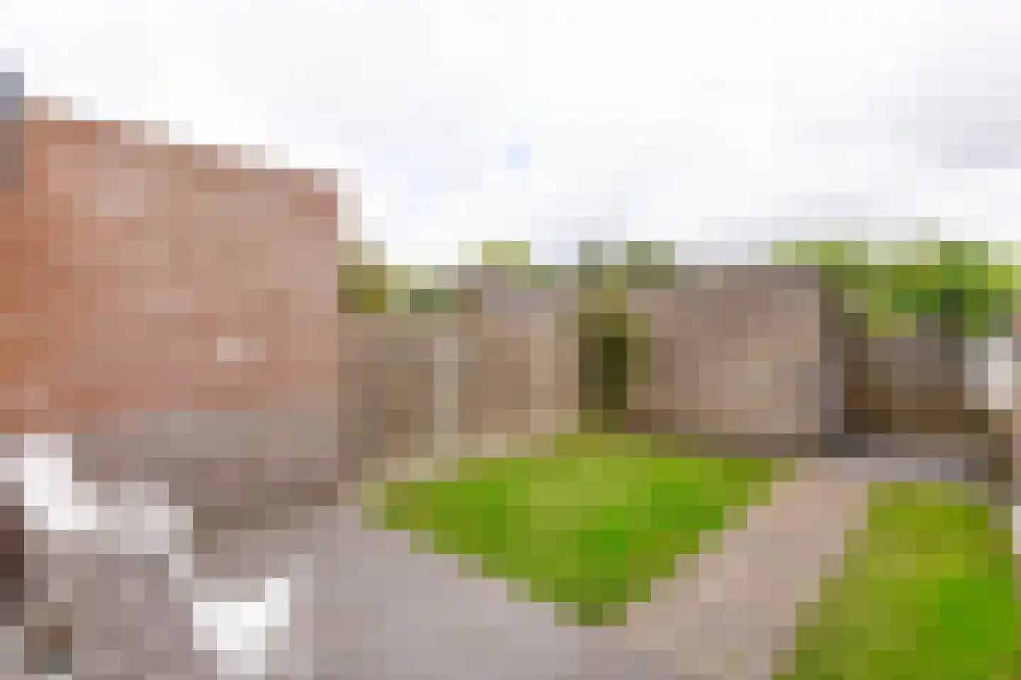 Populierenlaan 4 Zwanenburg thumbnail 15