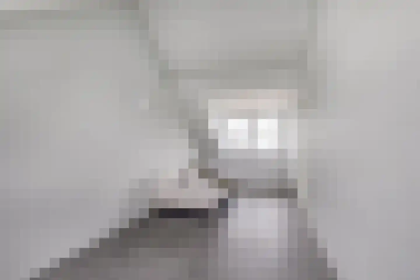 Populierenlaan 4 Zwanenburg thumbnail 22