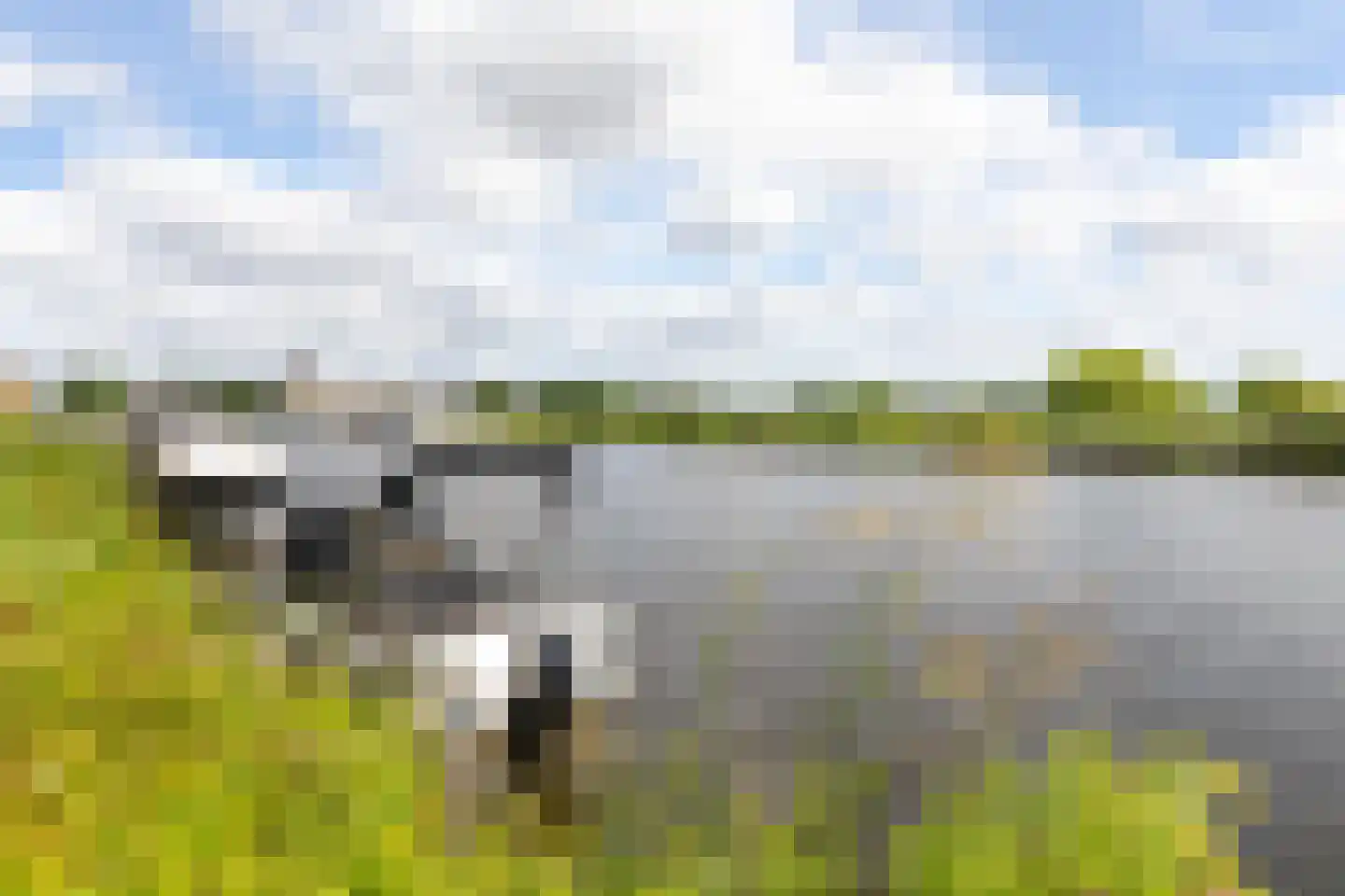 Populierenlaan 4 Zwanenburg thumbnail 32