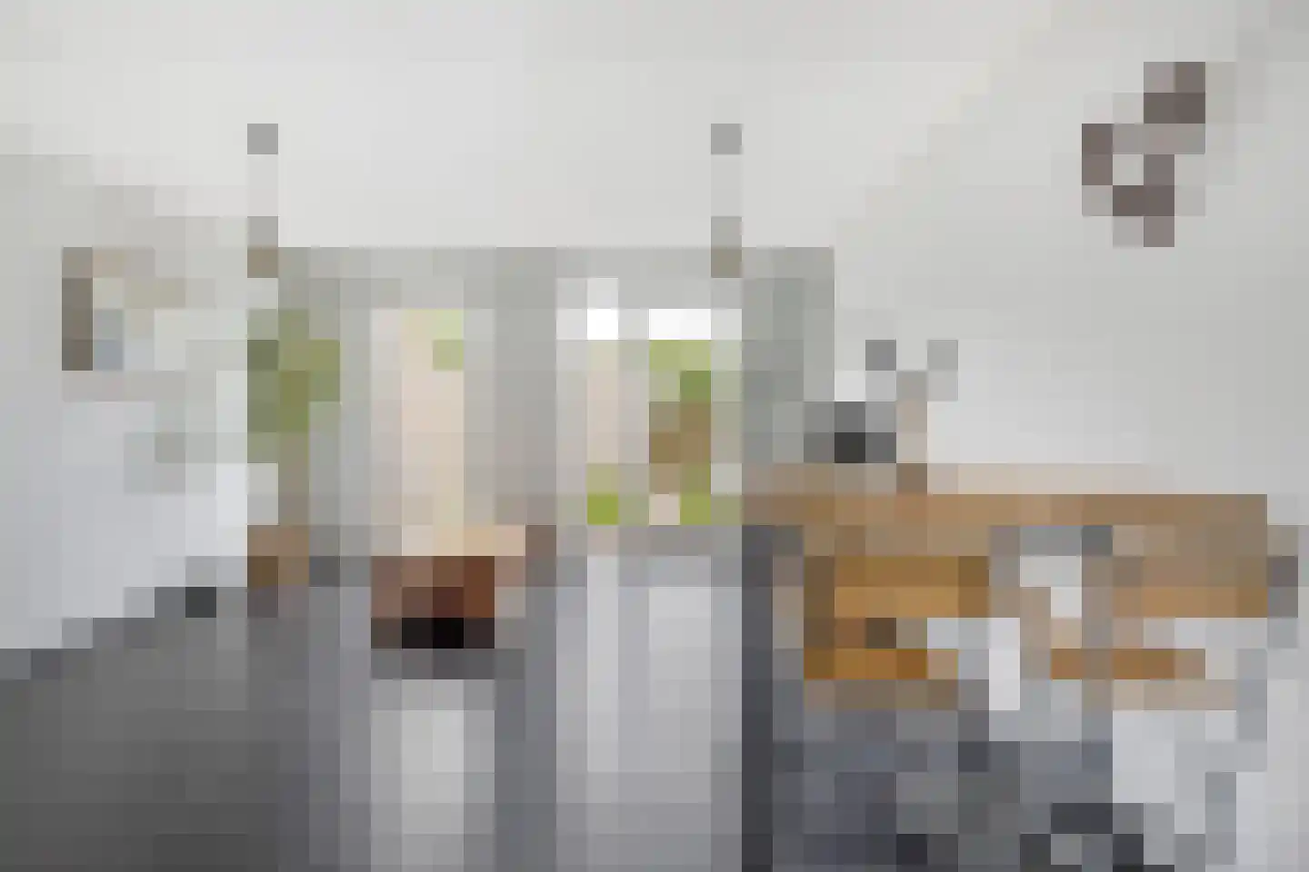Populierenlaan 4 Zwanenburg thumbnail 9
