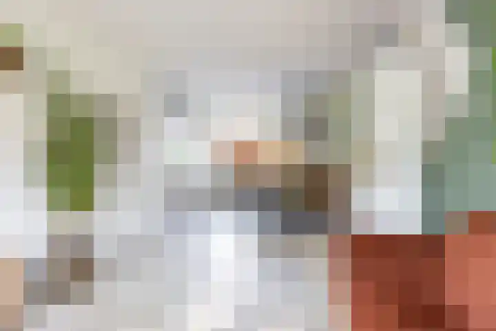 Populierenlaan 42 Groningen thumbnail 16