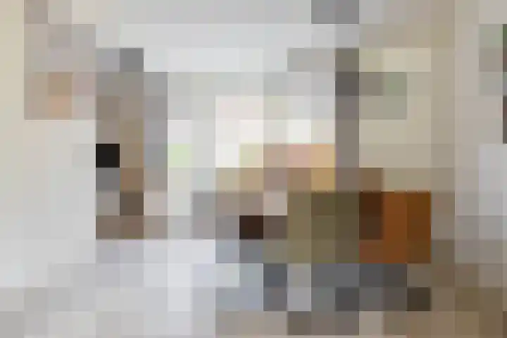 Populierenlaan 42 Groningen thumbnail 18