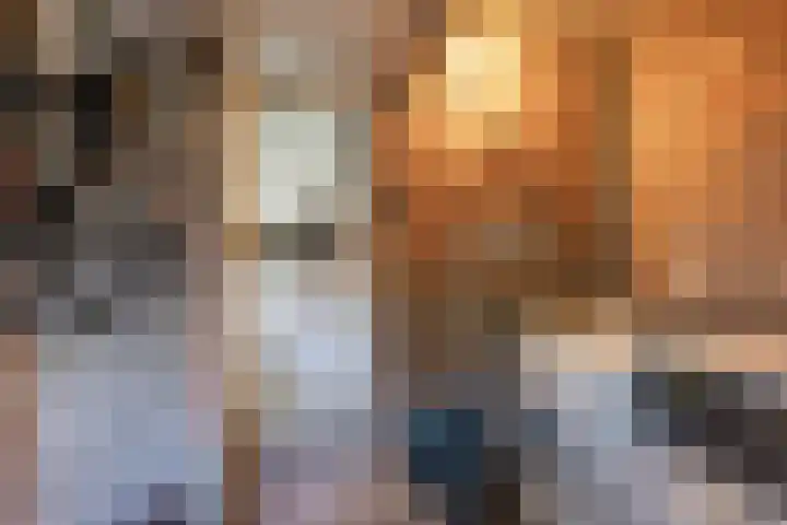 Populierenlaan 42 Groningen thumbnail 23