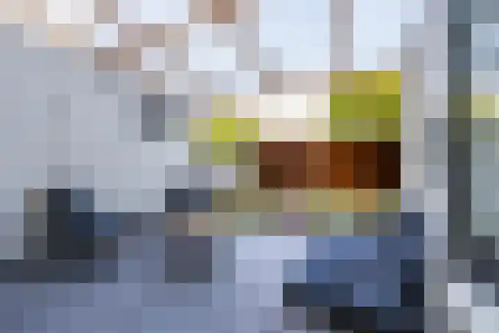 Populierenlaan 42 Groningen thumbnail 26