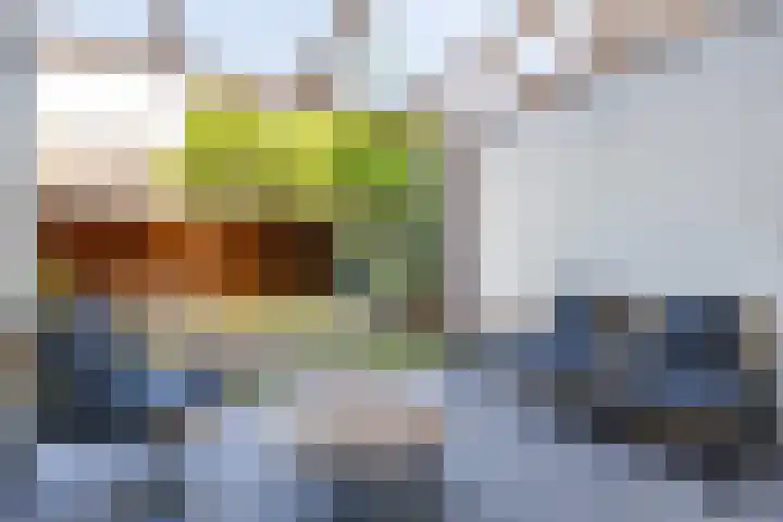 Populierenlaan 42 Groningen thumbnail 27