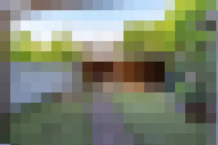 Populierenlaan 42 Groningen thumbnail 28