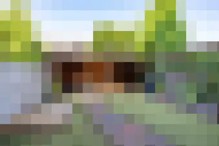Populierenlaan 42 Groningen thumbnail 29